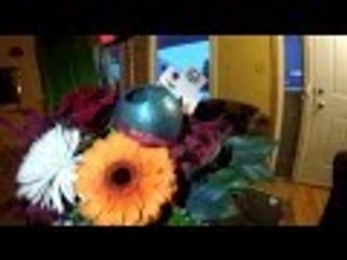 Trucker Rudi 02/14/16 Happy Valentine's Day