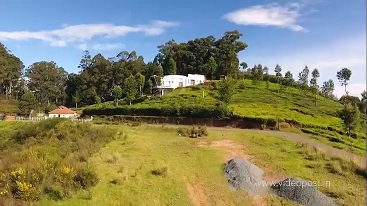 2016 Lovedale Drone Sue