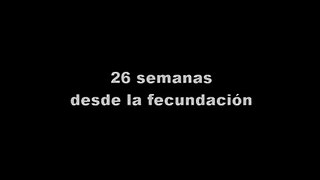 Ecografía 4d, feto de 26 semanas desde la fecundación