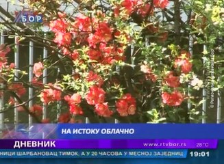 Dnevnik, 23. jun 2016. (RTV Bor)