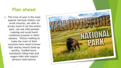 Top 5 Tips for Visiting Yellowstone This Summer by Wholesale Inventory Network