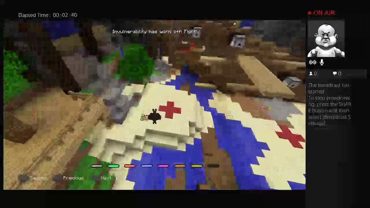 Minecraft (2)
