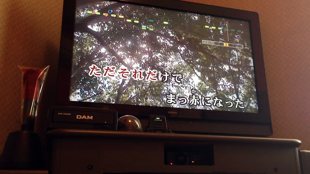 〈南野陽子〉恥かしすぎて〈27歳が歌ってみた〉