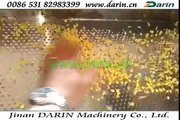 Flaking Machine/Corn Flakes Processing Machinery/Breakfast Cereal Making Machinery