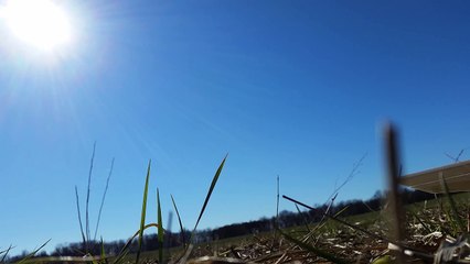 Simplest Simple Delta easy to launch Dollar Tree rc plane