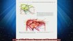 Free PDF Downlaod  Atlas of Skull Base Surgery and Neurotology READ ONLINE