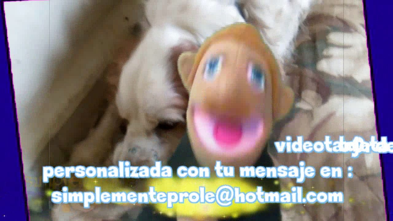 bebe