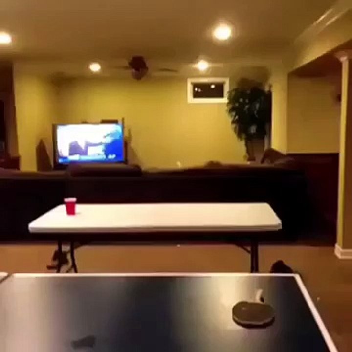 EPIC FAIL FUNNY VIDEO CLIPS