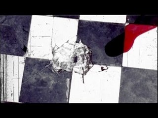 Extrait Clip Vidéo - She's dead (EAA 2008)