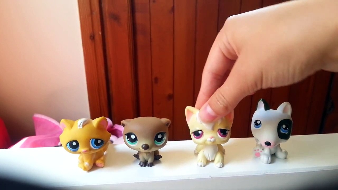 LPS: Duyuru - 3