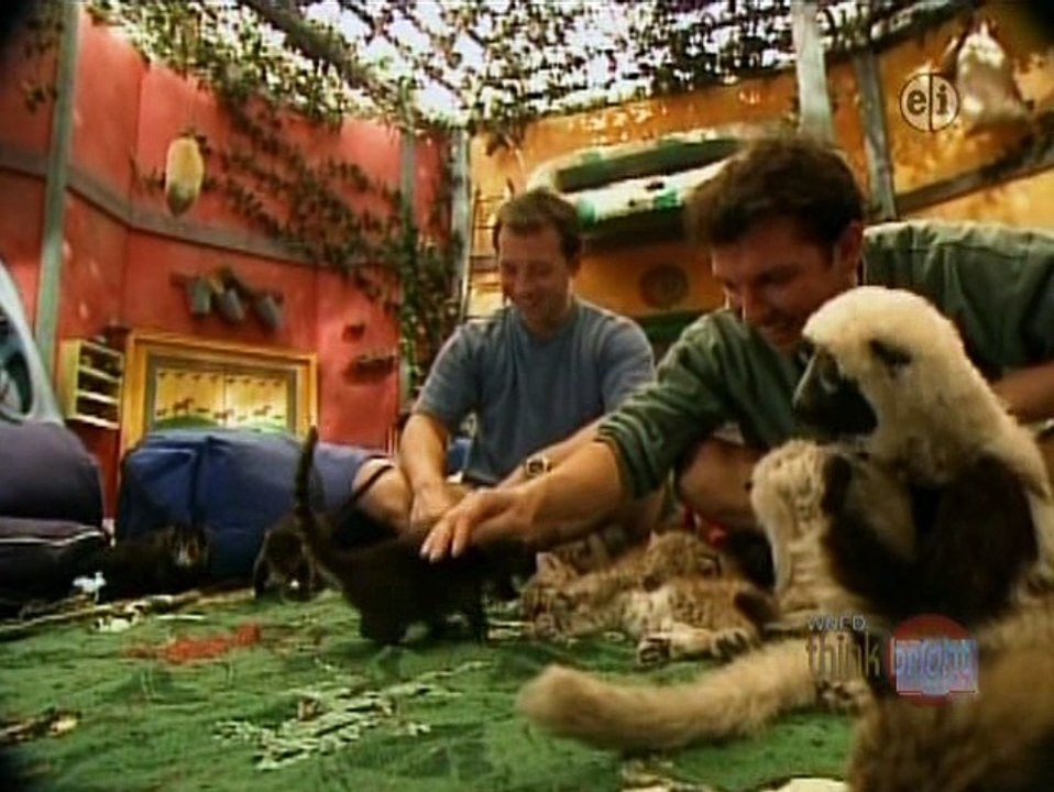 Zoboomafoo Animal Daycare video Dailymotion