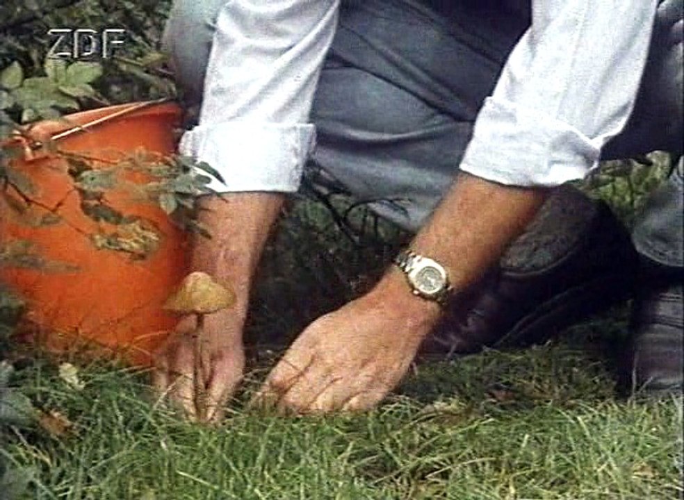 Loewenzahn  E02 - Peter geht auf Pilzsuche - ungekuerzt