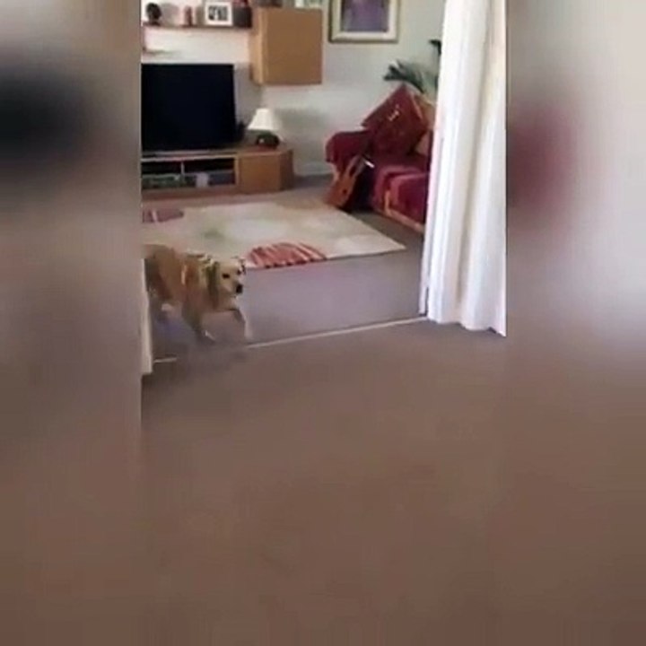 Sweet reunion