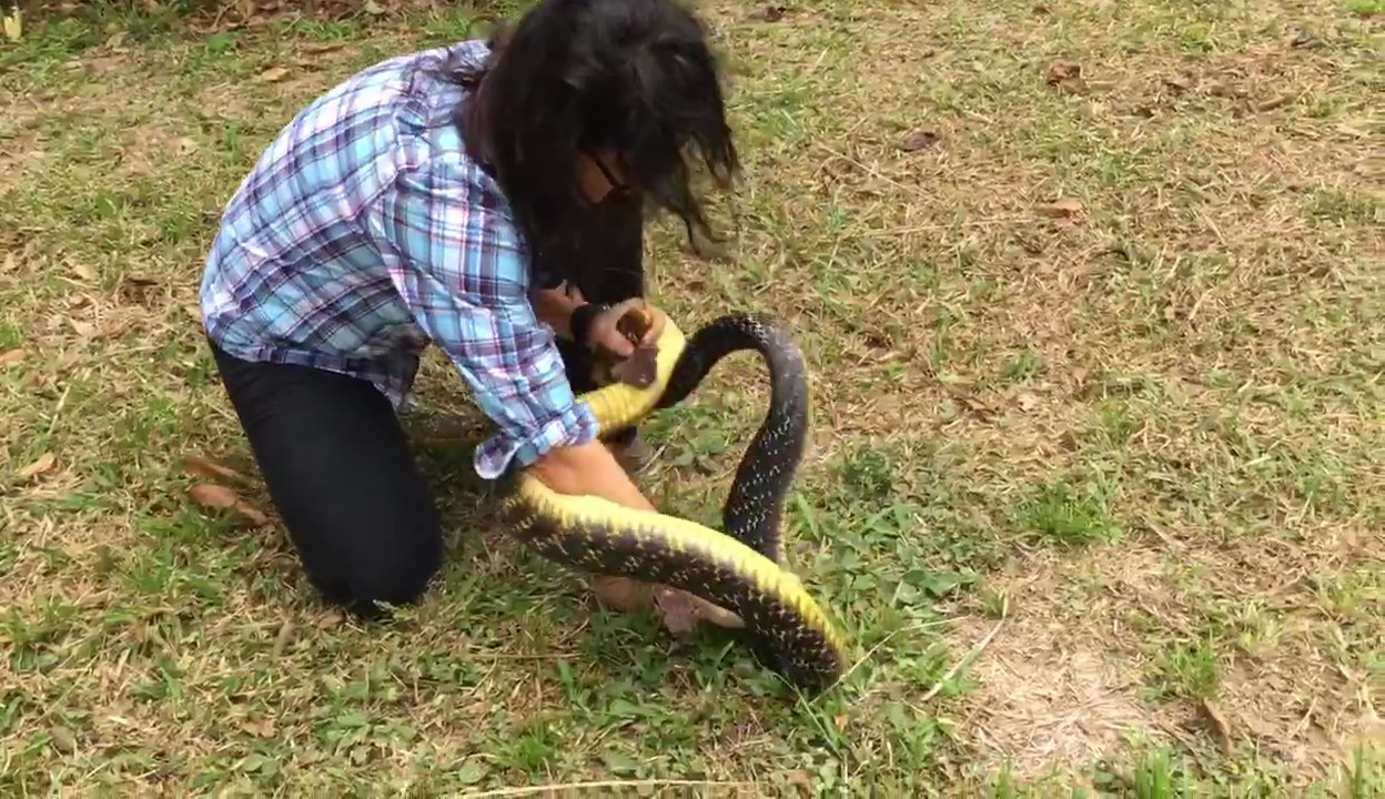 Une femme saute et plaque sur un serpent de 2 mètres