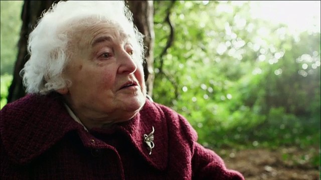 La vie secrète des chiens