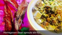Tumis toge - Homegrown Bean Sprouts Stir-Fry