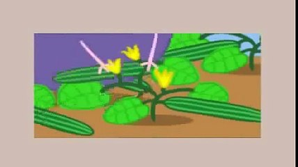 Peppa Pig - The Lunch(English version). Свинка Пеппа - Обед