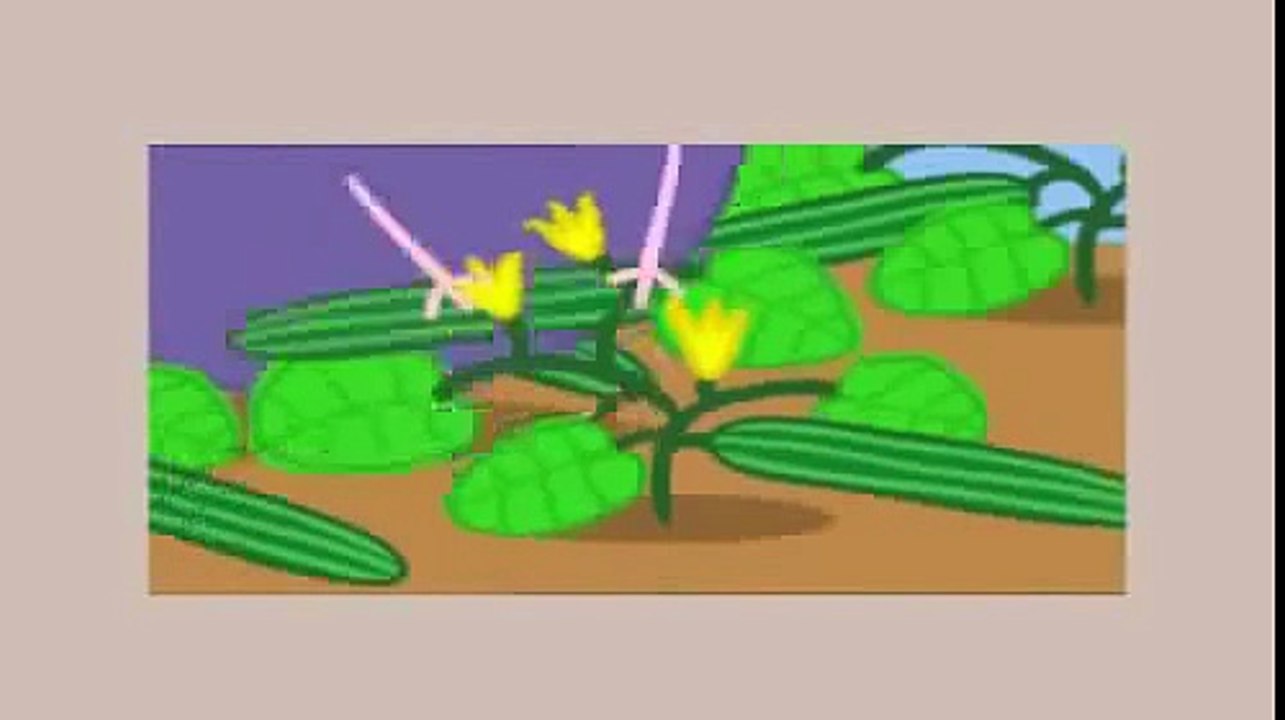 Peppa Pig - The Lunch(English version). Свинка Пеппа - Обед