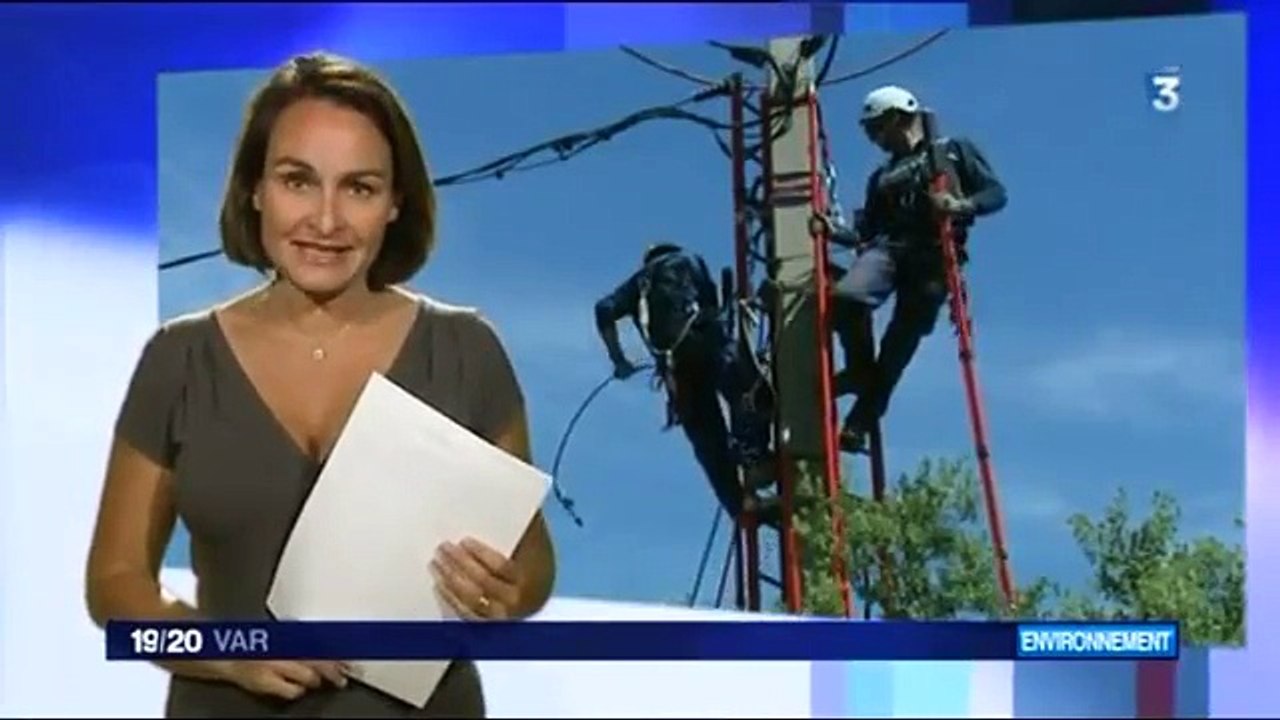 2014 05 28 France 3 JT 19 20 Toulon - Action ERDF/LPO PACA à Solliès-Toucas