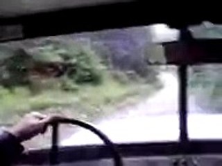 25. Дорога сквозь лес