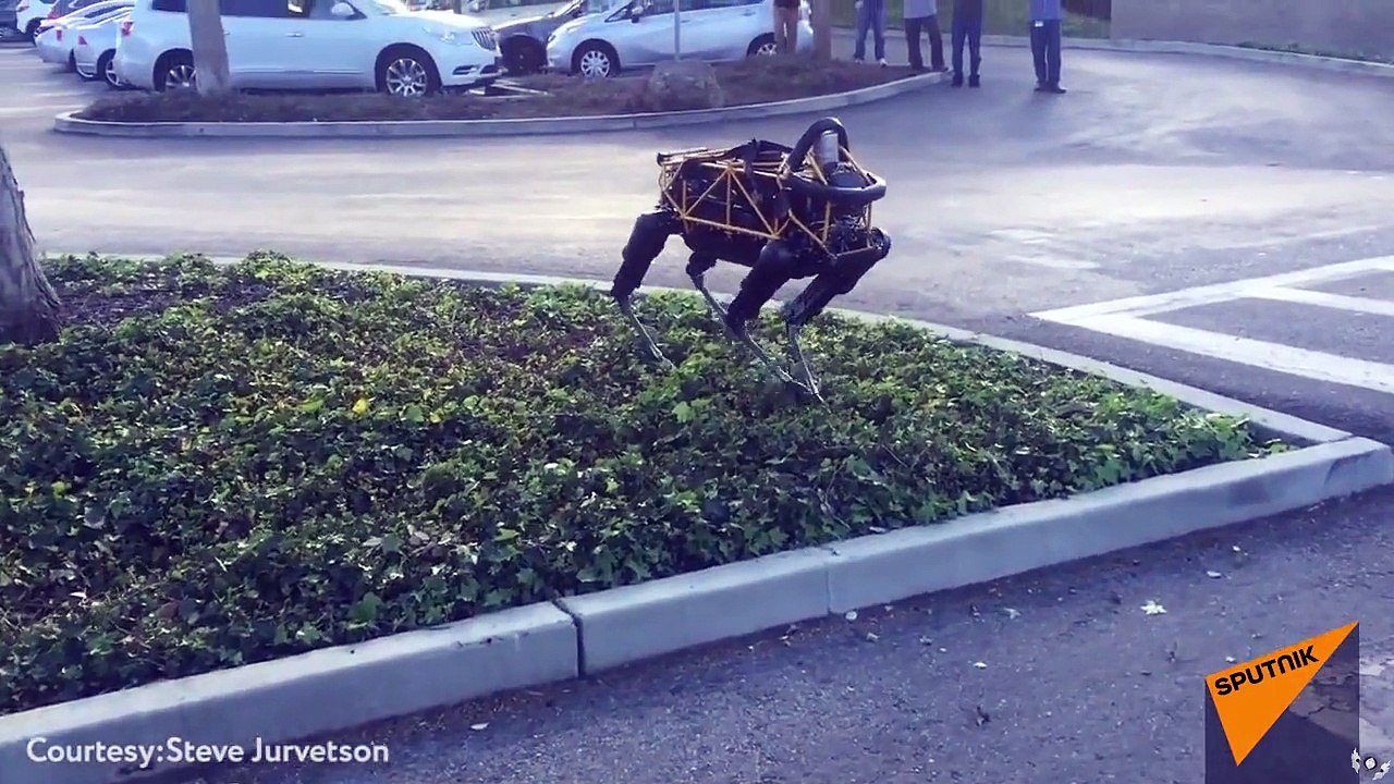 Un chien rencontre le chien robot de Boston Dynamics