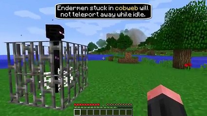 Minecraft Enderman Videos Dailymotion