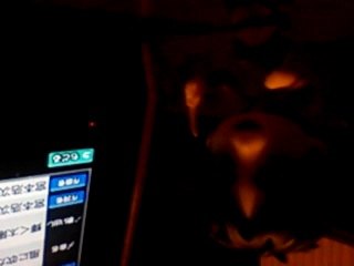 風に吹かれて☆Яοβιη★