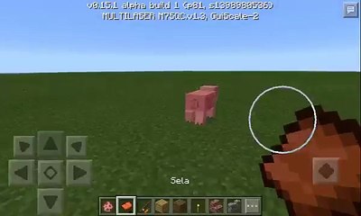 Como montar num porco no minecraft pe 0.15.0(SEM MODS)