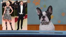 The Doggone Minute - Taylor Swift Dating Tom Hiddleston, LeBron James & Cavs Wins