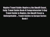 PDF Naples Travel Guide: Naples & the Amalfi Coast Italy: Travel Guide Book-A Comprehensive