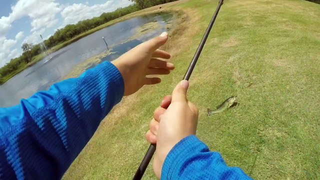 pond bass fishing+(personal Best Bass?!!!)