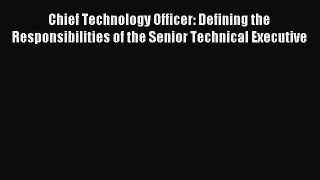 Read Chief Technology Officer: Defining the Responsibilities of the Senior Technical Executive