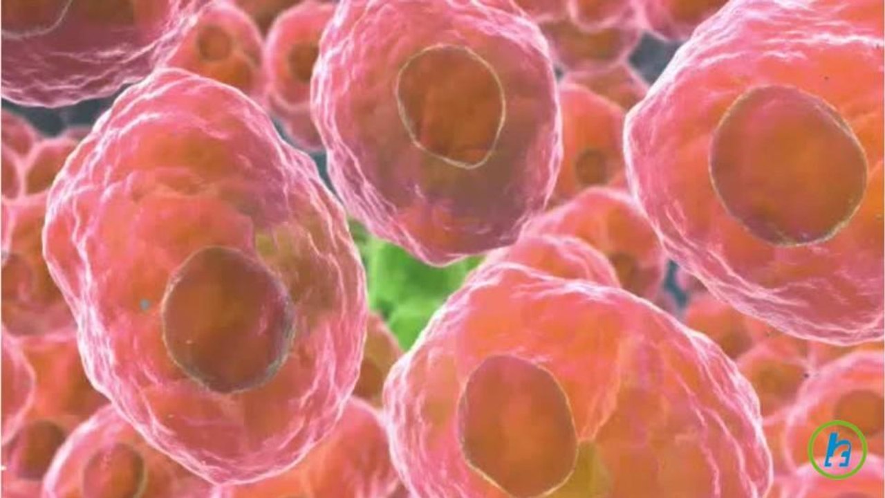 Tumor Cells Patterns Found Through Recent Study