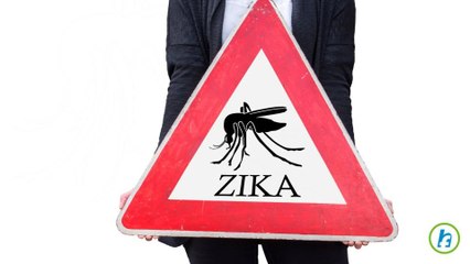 Military Doctors Race To Find Effective Zika Vaccine