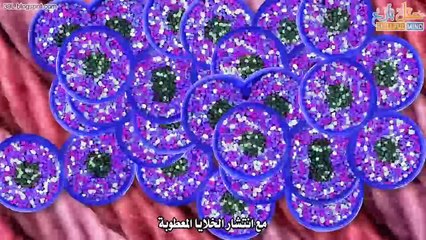 ماهو الفرق بين الخلاية السرطانية والخلاية السليمة؟ #شَرح تفاعليّ