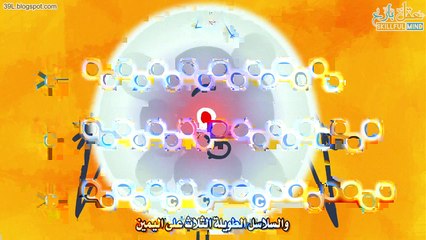 ماهي الدهون ما أنواعها وهل لها علاقة بالسمنة؟ #شَرْح تفاعليّ