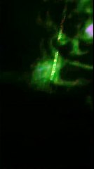 Harry Potter and the Forbidden Journey