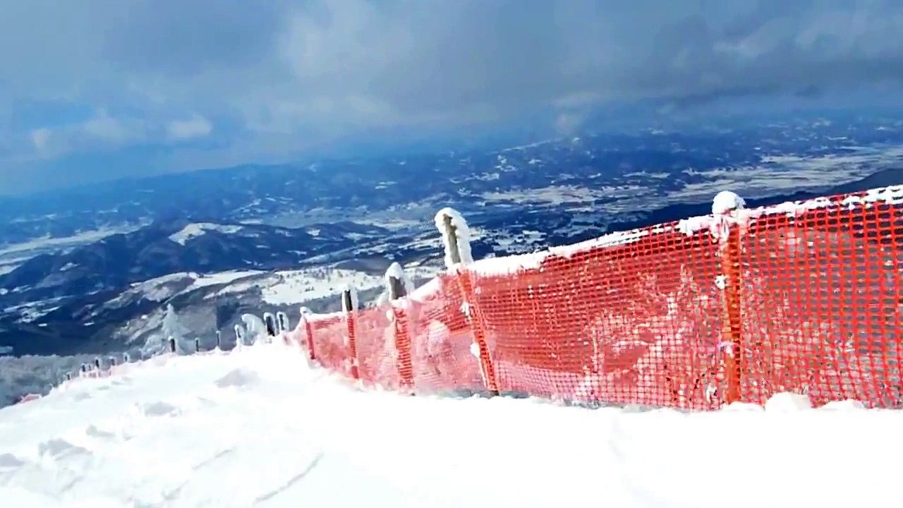 29 ｸﾚｰｼﾞｰﾄﾗﾊﾞｰｽ