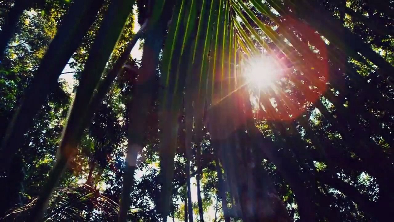 Exotic Tours Spots, Exotic Beach Vacation Spots, jacodreamvacations