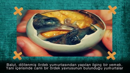 Dünyanın En İğrenç 10 Yemeği