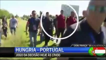 Cristiano Ronaldo Throws Reporter's Microphone Into The Lake!