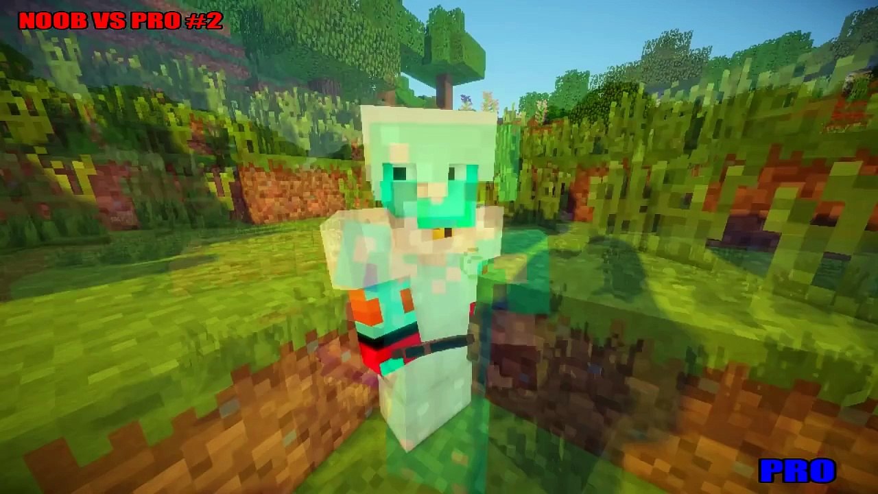 NOOB VS PRO MINECRAFT  NB VS PRO  02