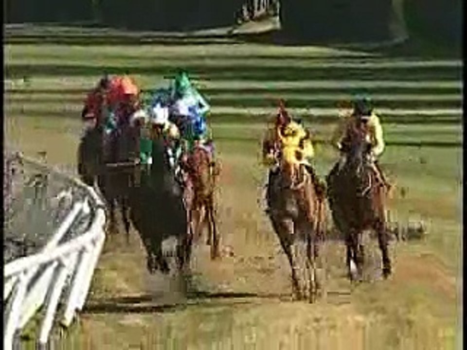 FORMIDABLE PLAYER (1º cl BOLSA DE COMERCIO CHS 25 Nov 2011).flv(www.fspedigreechile.cl)