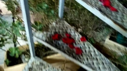 Quand ta copine te fait une belle surprise! Fail...