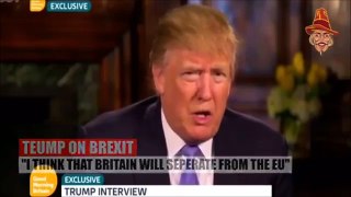 Donald Trump's Opinion on BREXIT