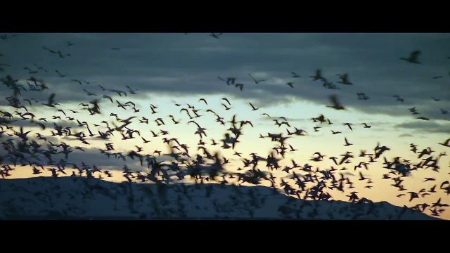 Les dernières heures