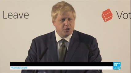 'Brexit' aftermath: Now that UK has voted to leave EU, what next?