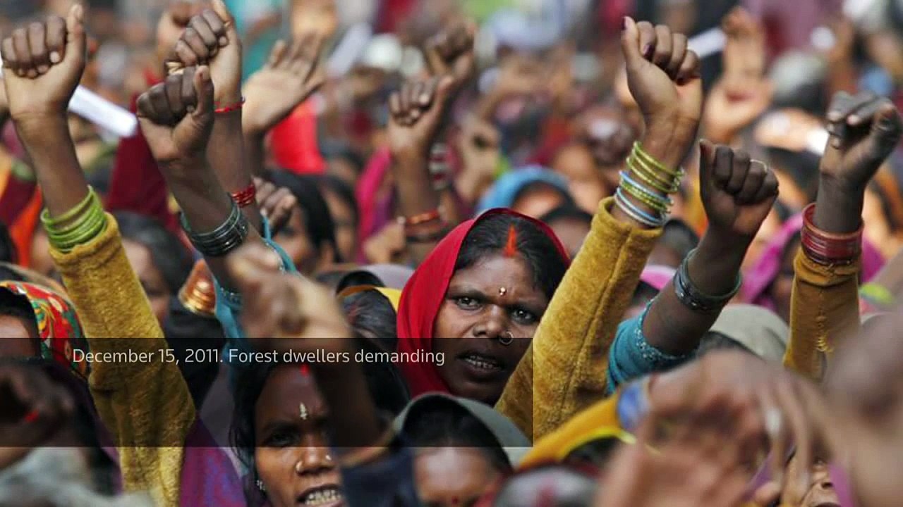 The Week in Pictures, December 15 - 21, 2011