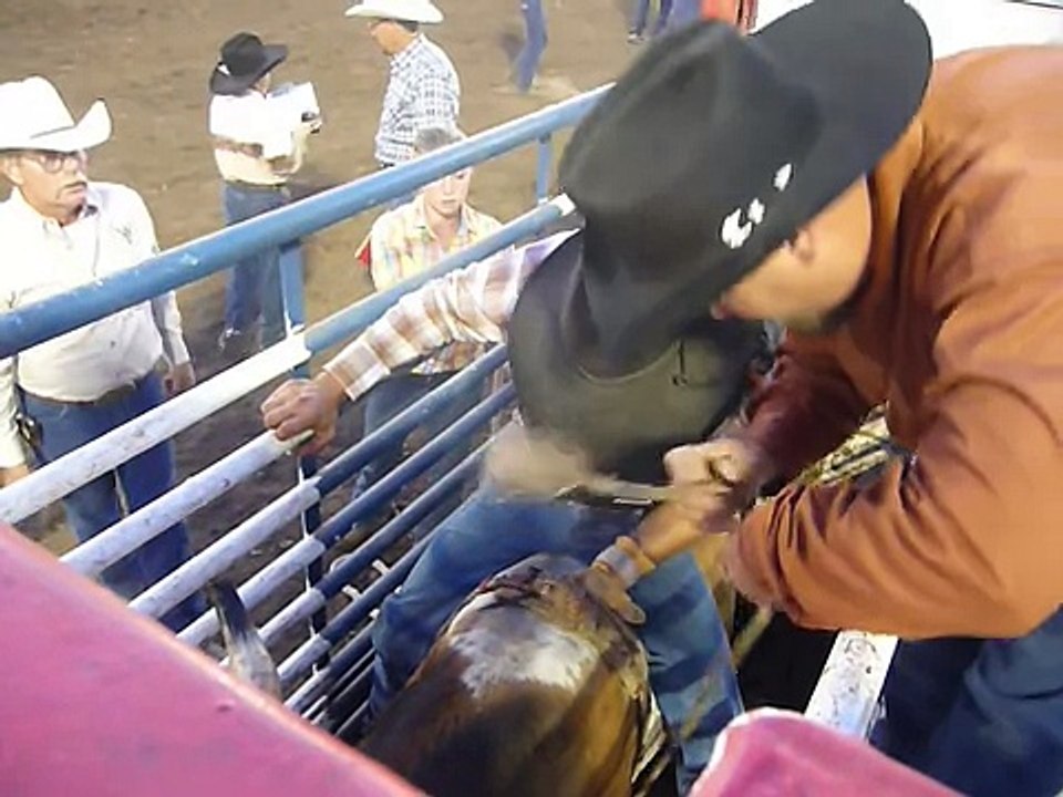 POKIES BULLRIDE AUG 23