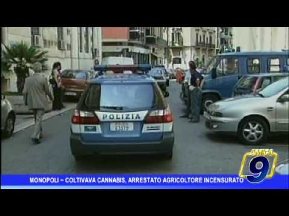 Monopoli |  Coltivava marijuana arrestato agricoltore incensurato